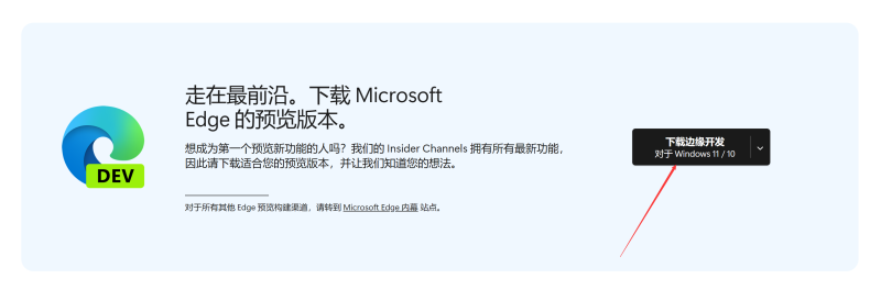 Chatgpt注册需要海外手机号?来试试这个New Bing-动鱼小窝